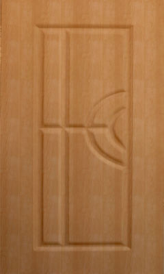 WPC Hot Press Door - Image 7